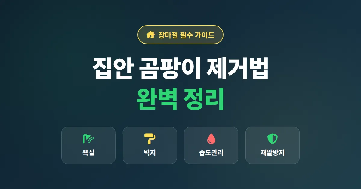 집안 곰팡이 제거법 완벽 정리, 욕실부터 벽지까지 재발 막는 실전 가이드